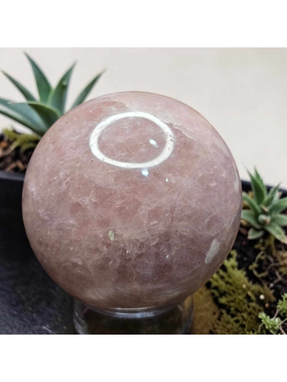 A240. Large Madagascar Rose Quartz Natural Crystal Sphere Orb 76mm